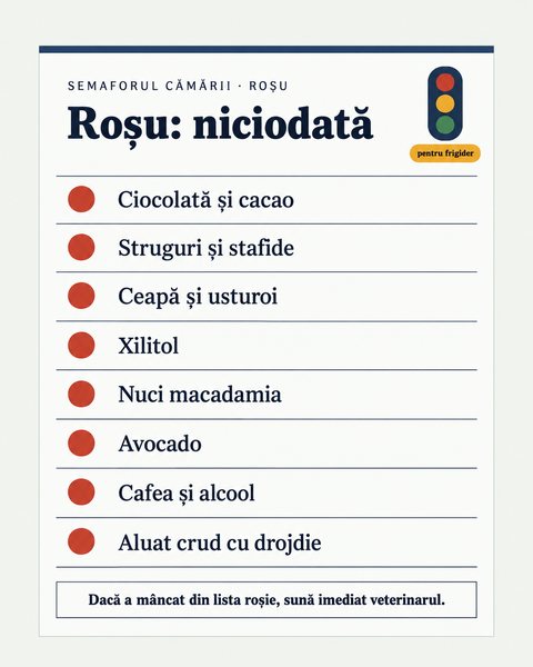 Semaforul Cămării: roșu, niciodată, foaia pentru frigider